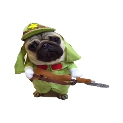 Personality Pet Dog Clothes Funny Entertainment Emperor Gege Cat Pug Dog Transformation Spring and Summer Clothing