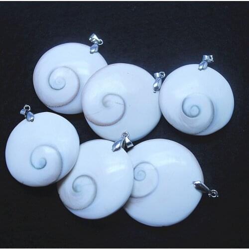 1PC Natural Madagascar Sun Shellfish Fossils Saltwater Shell Charms Pendants Unique Collections Diy Beads Components WHOLESALES