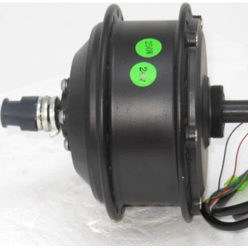 EVfitting Electric Bike 24V 250W rear wheel geared brushless DC motor