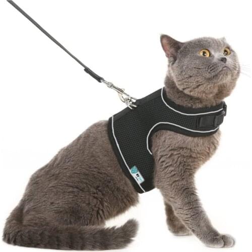 Moda Zebra Collars For Cats
