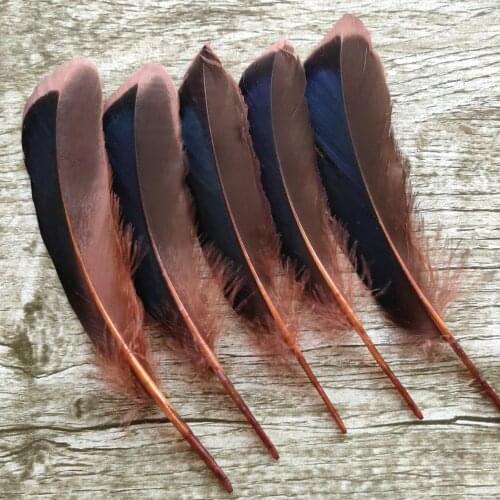 Wholesale 20pcs Beautiful 10-15 cm/4-6 inches Coffee Natural Duck Feathers DIY Jewelry Clothing Hat Decoration Accessories