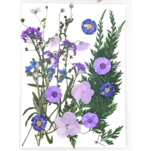 Real Dried Flower Pressed Dry Flowers Plants for Aromatherapy Candle Epoxy Resin Necklace Jewelry Making Craft DIY Accessories