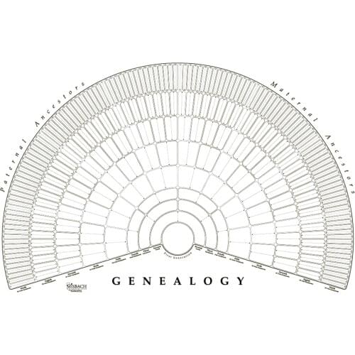 High-quality Elegant Family Tree Diagram Handwritten Canvas Family History Wall Art Blank Chart For Diy