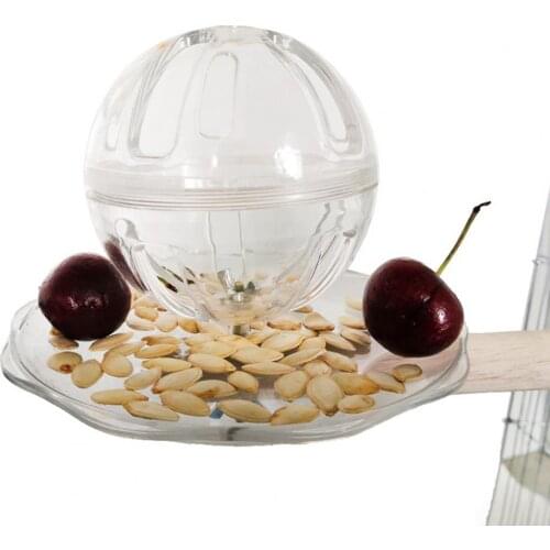 Pet Bird Parrot Feeding Toy Foraging Ball Standing Stick Combination Pet Supply Wooden Transparent White Fixed Feeding Device
