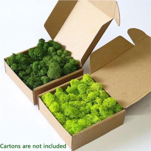 Artificial Plant Eternal Life Moss / Garden Home Decoration Wall DIY Flower Material Mini Garden Micro Landscape Accessories