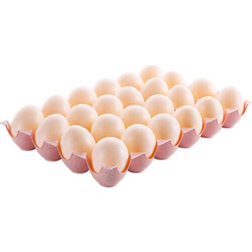 1pc Kitchen Egg Storage Box Container Hiking Outdoor Camping Carrier Crisper For Egg Case Box