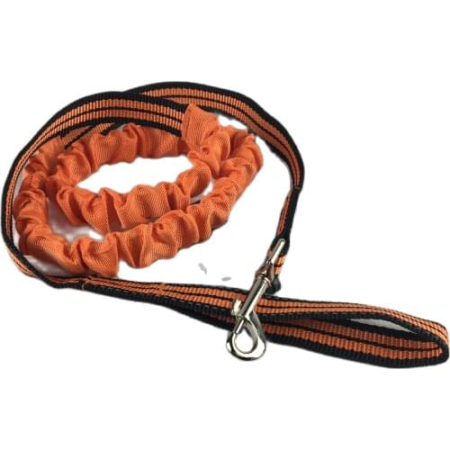 Copele Leashes For Dogs