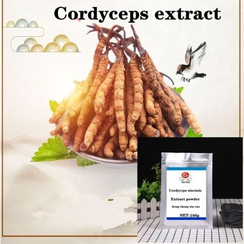 Hot selling high-quality Cordyceps sinensis extract powder, dong chong xia cao, relieve fatigue and enhance immunity