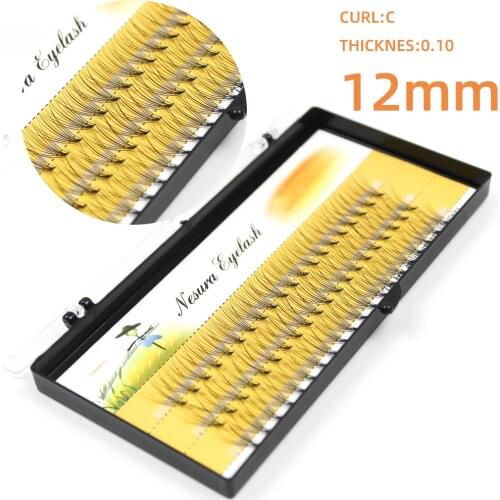 Grafting World 10D Eyelash Extension Real Human Lashes for Make Up Individual Eyelashes Russia Volume Premade Fans