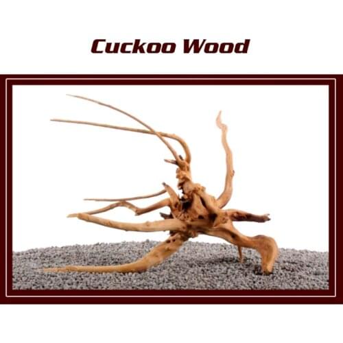 Natural Wood Driftwood Tree Drift wood Trunk Aquarium Reptile Cylinder Fish Tank Plant Ornament Landscaping Artwork Decor
