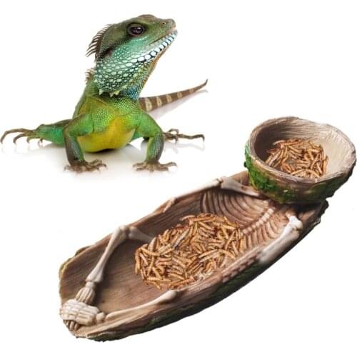 Skeleton Reptile Food Bowl Amphibian Pet Bearded Dragon Cage Rock Decoration Water Injection Humidification Function