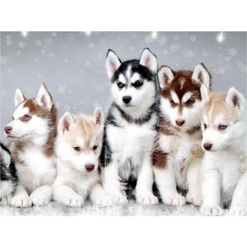 5D DIY Full Round Diamond Painting Cute Husky In The Snow 3D Embroidery Cross Stitch Rhinestone Mosaic Home Decor Art Y254