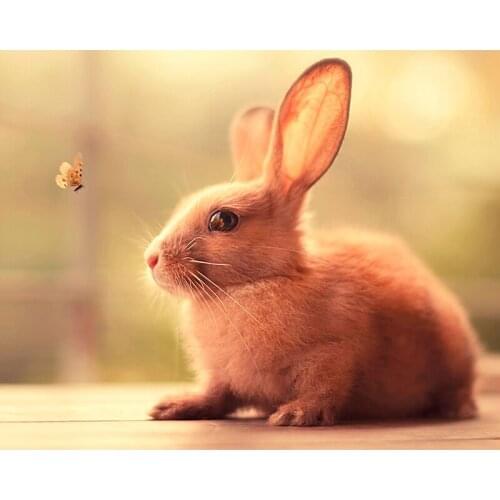 NEW 5D DIY Diamond Painting "Cute Bunny" Diamond Embroidery Cross Stitch Needlework Gift Full Rhinestone Decoration