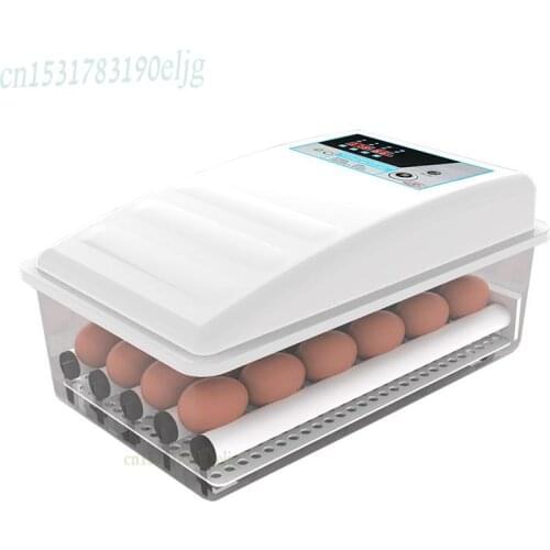 Chick Incubator Small Household Incubator Incubator Automatic Incubator Water Bed Incubator Household