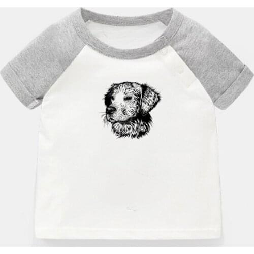 Golden Retriever Dog You Are Amazing Design Newborn Baby T-shirts Toddler Graphic Raglan Color Short Sleeve Tee Tops