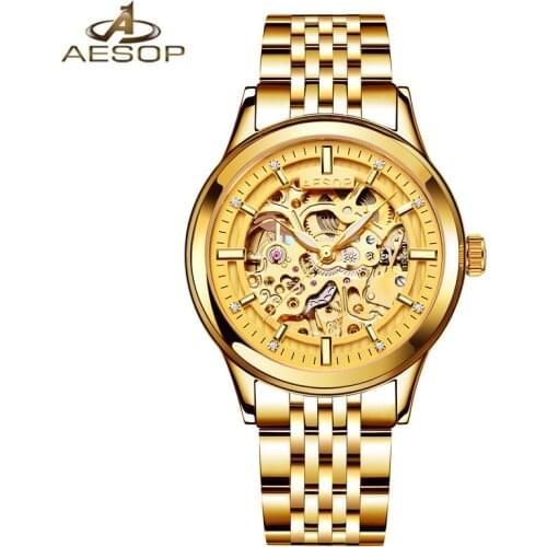 AESOP Brand Fashion Gold Skeleton Automatic Watch Man Woman Waterproof Luminous Mechanical Wristwatches Clock Relogio Masculino