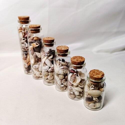 1 Box Natural Shell Conch Drifting Bottle Wishing Bottle Childrens Toys Handmade Art Materials Home Decoration