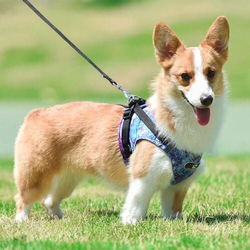 Pet Dog Harness Cat Collar Lead Leash For Small Medium Dogs Chest Strap Vest Adjustable Walking Lead Leashes Pet Supplies