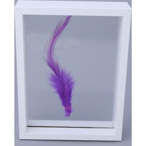 Composite Solid Wood Frame Double Side Glass Specimen,Sample Display Decor