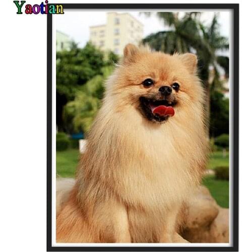 Full Square/Round Diamond Painting Pomeranian Dog Animal Cross Stitch Sale 5D DIY Diamond Embroidery Mosaic Handmade Gift