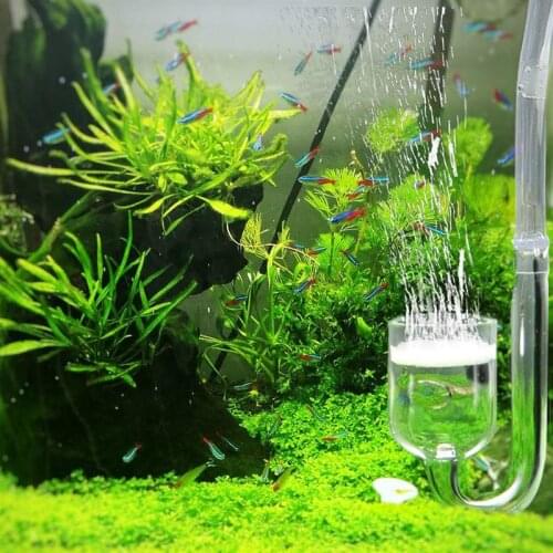 UEETEK U Shape Aquarium CO2 Diffuser Glass Tank Bubble Atomizer Reactor Solenoid Regulator Moss CO2 Atomizer
