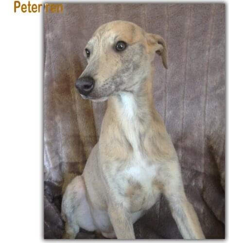 Diy Diamond painting dog cross stitch Animal 5d Square\Round Diamond mosaic Rhinestone Full Diamond embroidery Golden retriever