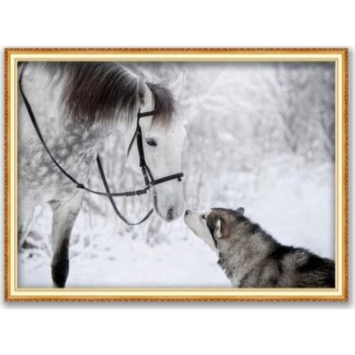 Animal Dog Husky DIY Embroidery Cross Stitch 11CT Kits Needlework Craft Set Printed Canvas Cotton Thread Home Decoration On Sale