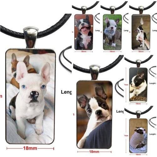 For Girls Gifts Boston Terrier Bulldog Fashion Glass Cabochon Pendant Necklace Women Steel Color Choker Rectangle Necklace