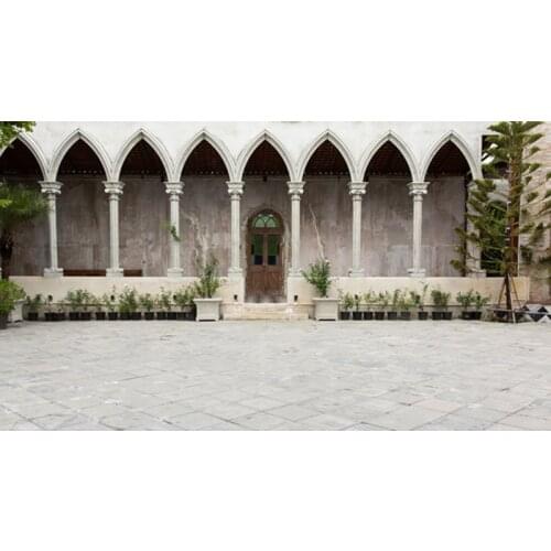 5x7ft Wholesale Photography Backdrops Hot Sale Thin Vinyl Outdoor Photo Studio Backgrounds For Newborn Children Portrait D-3832