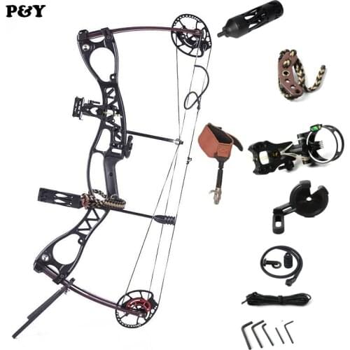 Original junxing M122 Compound Bow for Hunting Right and Left Hand Draw weight 20-70lbs Outdoor Shooting Fishing Bow Archery Set