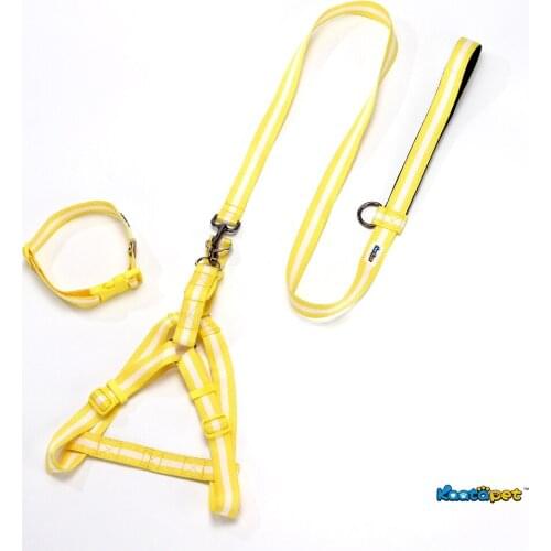 Kaatapet Adjustable Rainbow Series Dog Traction Set Harness