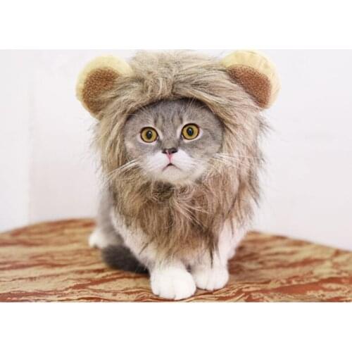OLOEY Clothes For Cats China