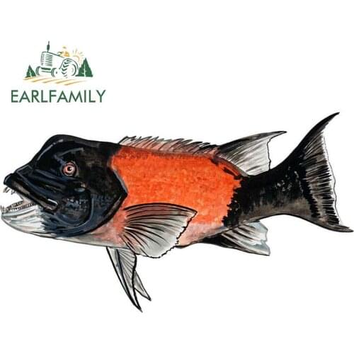EARLFAMILY 13cm x 7.4cm Car Sticker West Coast Sheepshead Fine Art Vinyl Decal Sticker for Auto Car Truck SUV Window Decor