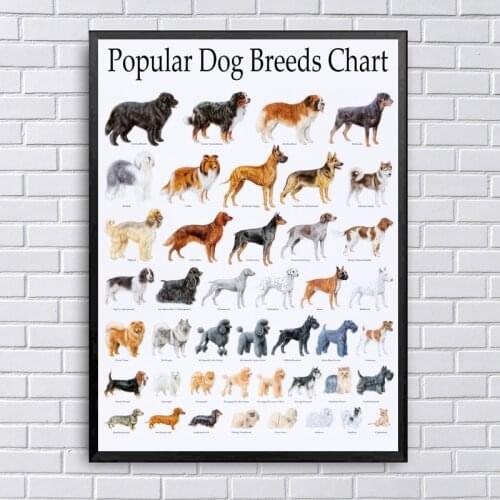 Dog Breeds Chart Poster Wall Art Canvas Painting Nordic Posters And Prints Wall Pictures For Living Room Decor
