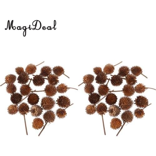 100x Rustic Country Natural Dried Flowers Fruits Home Accents For Wedding Indoor Outdoor Event Party Decorations Table Ornaments