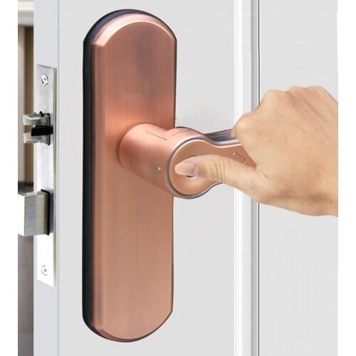 Digital Door Lock Fingerprint Smart Lock Home Security Alarm Electric Lock Intelligent Key Unlock With Lock Body