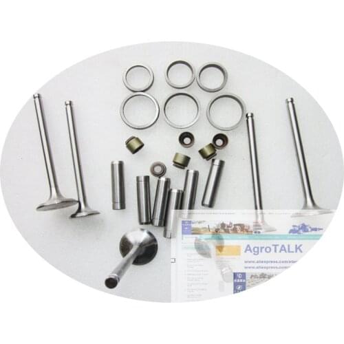 Set of valve group including valves, guides, valve seats and valve stems for Yangdong Y380T / Y385T (both swirl chamber)