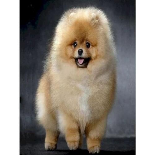 Diamond Mosaic Dog 5D Diy Diamond Painting Set Full Drill Round Diamond Embroidery Colored Animal Cross Stitch Home Decor Art