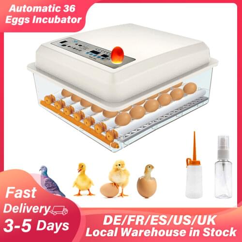 110V 220V Fully Automatic 36 Eggs Incubator Turner Brooder Bird Intelligent Warming Incubators for Quail Chick Poultry Hatcher