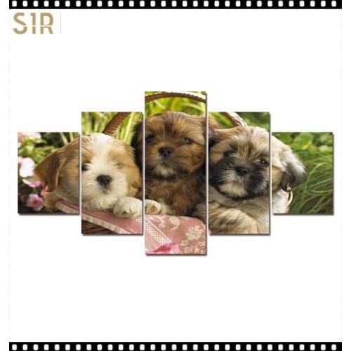 HD 5 Pieces Cute Pet Dog Pictures Posters Wall HD Art Home Decor for Living Room Painting on The Wall Pet Dog Pictures Wall Art