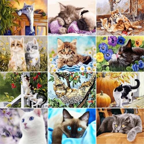 AZQSD DIY Painting By Number Canvas Kits Cat Decor For Home Unframe Acrylic Paint Coloring By Numbers Animal Handpainted Gift