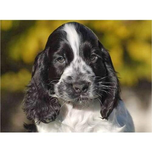 Cocker Spaniel Dog diamond painting full round drill Diamond embroidery animal pet Diamond painting diy 5d diamond mosaic,decor