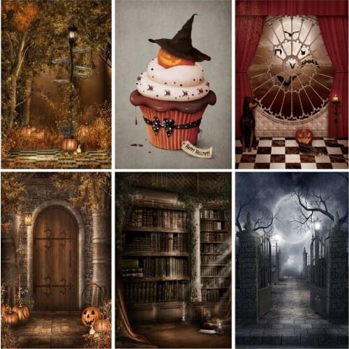 Goth Fairy Tale Old Palace Bookshelf Arch Window Baby Portrait Backdrop Halloween Photo Backgrounds 21610DGP-01