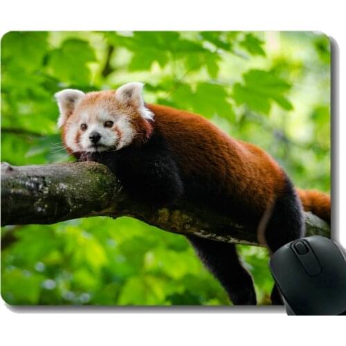 Gaming Mouse Pad with Stitched Edge,kittens Little panda defocus ,Mouse Mat,Non-Slip Rubber Base Mousepad for Laptop,Computer