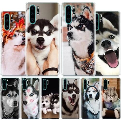Siberian Husky Cute Cover Phone Case For Huawei Honor 10 9 20 Lite 9X 8X 8S 8A 7X 7A Pro Y5 Y6 Y7 Y9 2019 Y9S 10i20i V20 V30 Coq