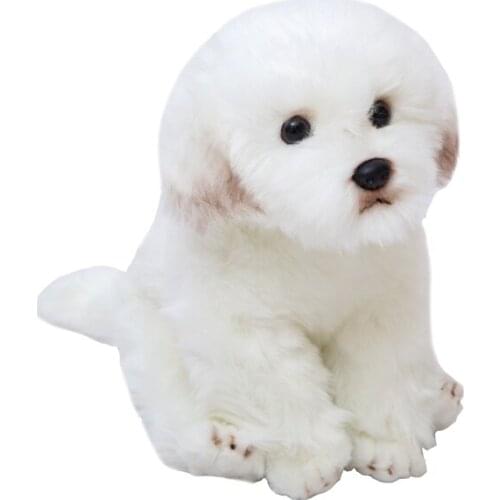 Quality Lovely Soft Animal Maltese Dog Plush Doll Mini Cuddly Animals Dog Pet Decoration Gift 28x20x26cm DY50057
