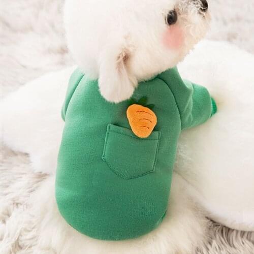 Dog Clothes for Small Dogs Pocket Radish Clothes Autumn and Winter Clothes New Cat Pet Teddy Winter Warmth Method In Winter