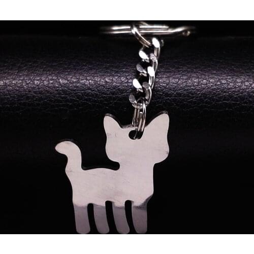 2021 Fashion Pokemon Stainless Steel Cat Keyrings for Women Silver Color Keychain Jewelry Women Gifts llavero K7608B