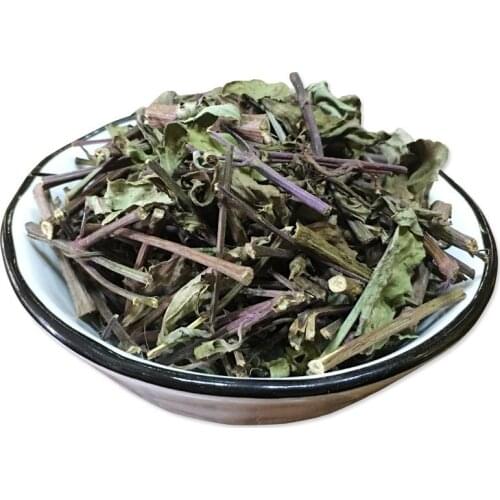 CLERODENDRANTHUS SPICATUS,HERB OF SPICATE CLERODENDRANTHUS,CATS WHISKERS;MISAI KUCHING;ORTHOSIPHON STAMINEUS(MAOXUCAO)