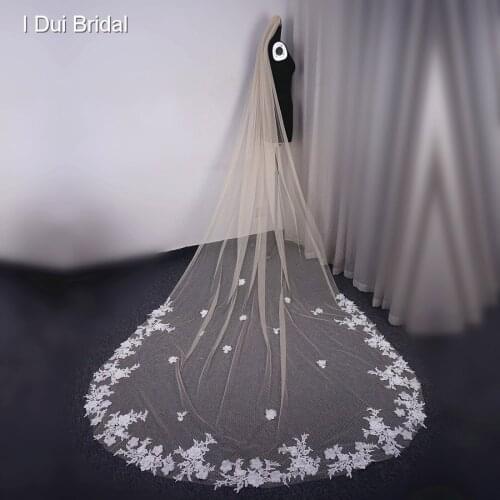 Champagne Dot Tulle Wedding Bridal Veil One Layer with 3D Flowers 3 Meter Crystals Lace Bride Hair Accessory